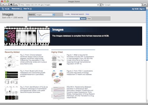 Image of: NCBI adds searchable images database